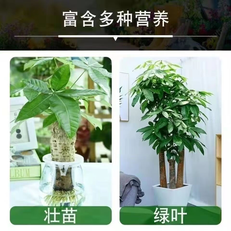 磷酸二氢钾叶面肥 晶泰磷酸二氢钾叶面肥正品全水溶磷肥钾肥包邮 25公斤原装整袋