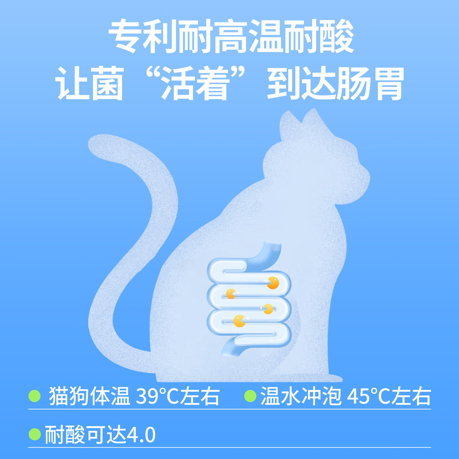修正新关爱 宠物益生菌布拉迪酵母猫咪狗狗肠胃调理幼犬成犬呕吐软便拉稀 每盒2000亿活菌【10袋】共50g