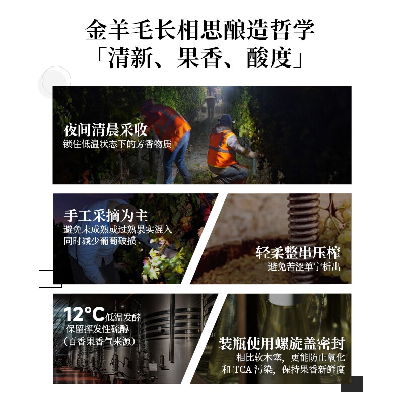 金羊毛【国际金奖/断货王】新西兰原瓶进口干白葡萄酒马尔堡长相思酒 750ml*2瓶