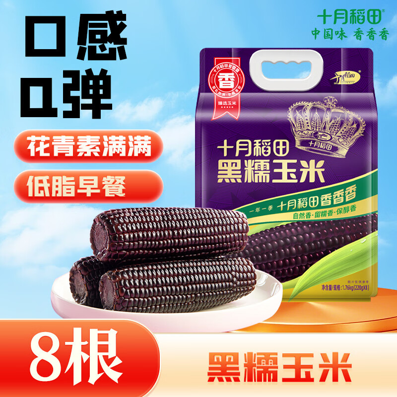 十月稻田 黑糯玉米 3.52斤(220g*8根) 东北甜黏玉米棒 早餐苞米 低脂零食