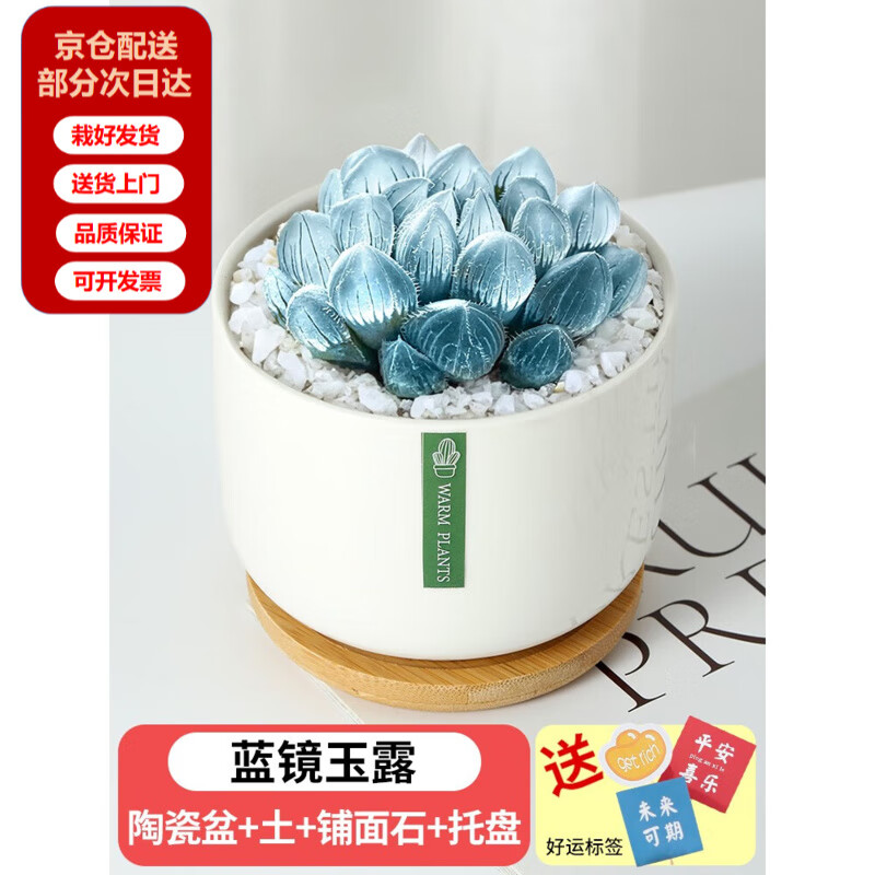  ֲ ¶+״+   43.6Ԫ4(10.9Ԫ/)