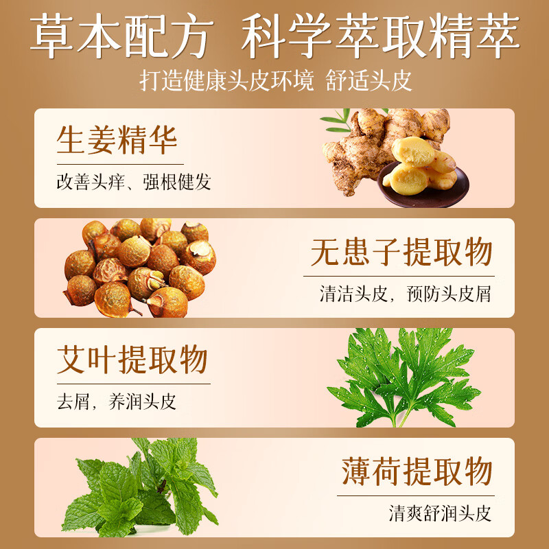 霸王生姜洗发水600g姜汁控油清爽柔顺滋养去屑洗头膏乳液留香男女 【控油清爽】生姜洗发套装共1232ml