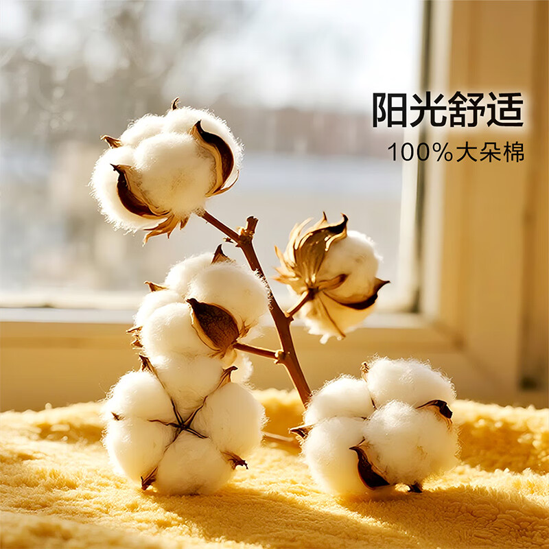 馨而乐（Bravo）富安娜出品四件套磨毛纯棉100%保暖四件套冬季被套结婚粉色床上用品230*229cm