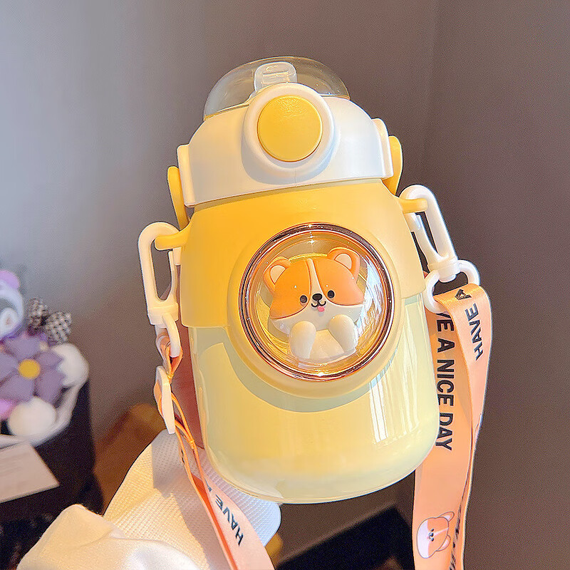 ʹǱ±ֵͨˮѧͯЯܱѧ¶Ӫ± CH-8127ɫ700ml Ȩ 39.1Ԫ