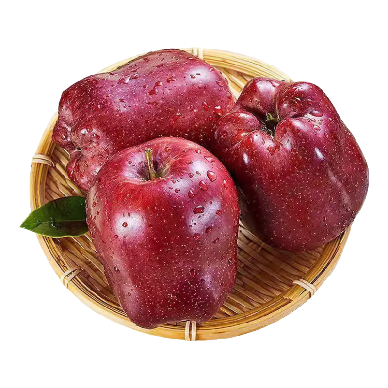 2025年现摘现发甘肃天水花牛苹果新鲜红蛇果粉面生鲜脆甜多汁A14 带箱5斤  果径65-70mm
