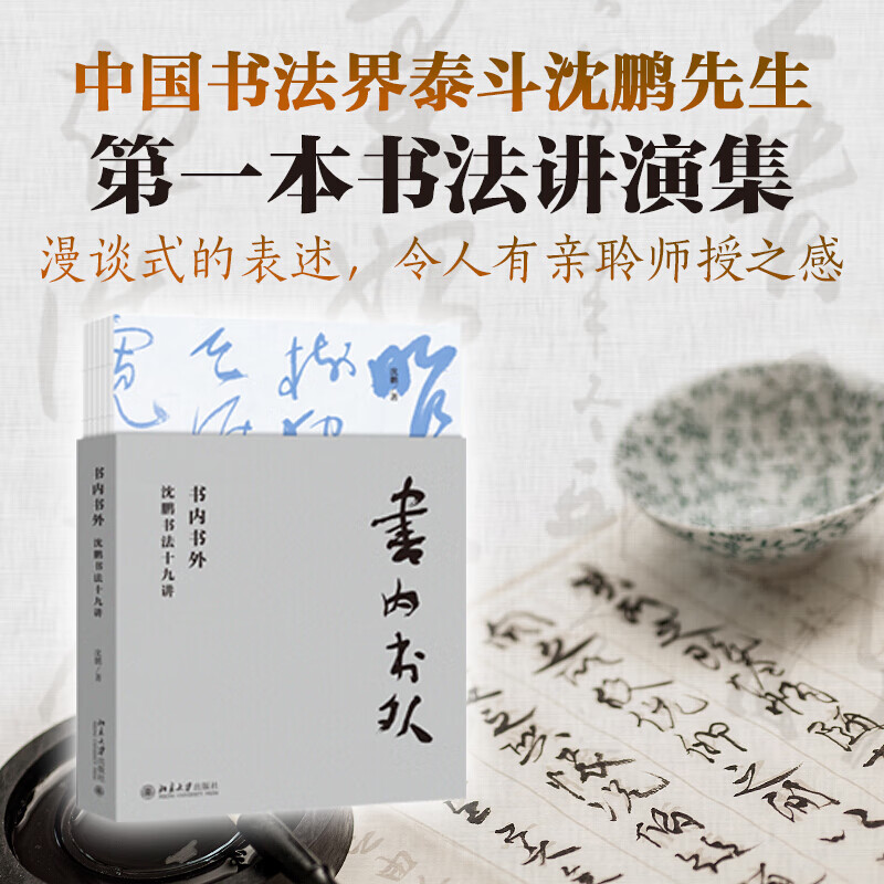 书内书外：沈鹏书法十九讲 2020中国好书