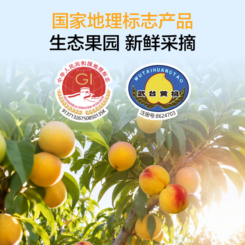 1号会员店梨汁黄桃罐头(口感偏脆) 425g*4罐 0添加蔗糖水果休闲即食礼盒