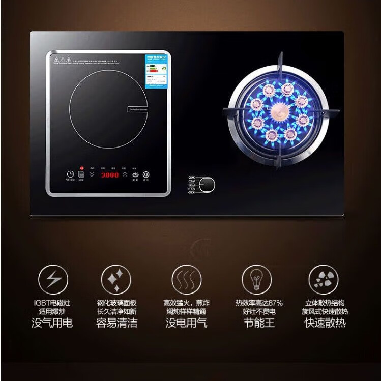 東洋（TOYO）气电两用灶一气一电两用灶电磁炉燃气灶气电灶二合一电磁炉台嵌两用 [左电右气]13腔蓝焰-3500W电磁炉 液化气