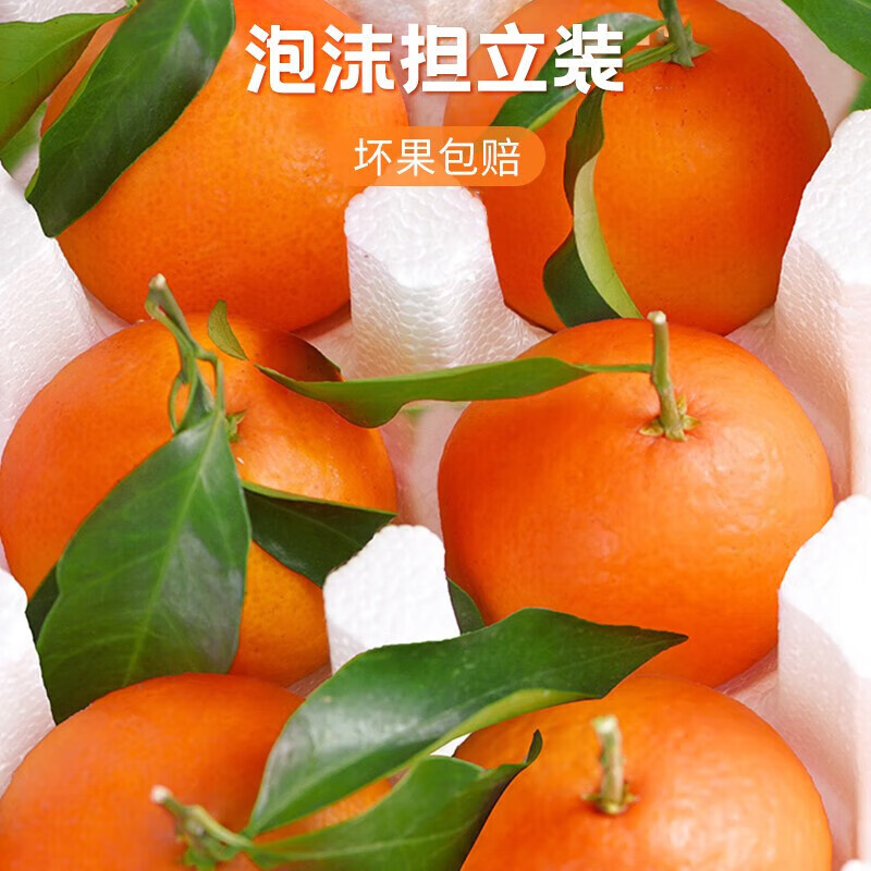 酷果汇四川爱媛果冻橙当季现摘新鲜柑橘水果整箱孕妇手剥橙子5/8斤装 5斤推荐装净重4.5斤 果经65MM+