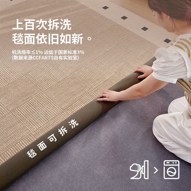 CCFARTS双层可机洗客厅地毯无胶防水客厅地毯沙发卧室 天鹅堡 天鹅堡 154cm*212cm （毯面+4mm标准底 ）