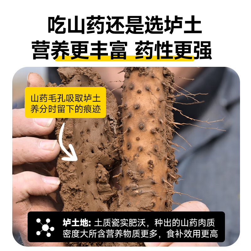 沁园秋正宗河南焦作温县垆土铁棍山药怀山药产地直发 垆土铁棍山药 净重3斤(24-28cm)家庭装