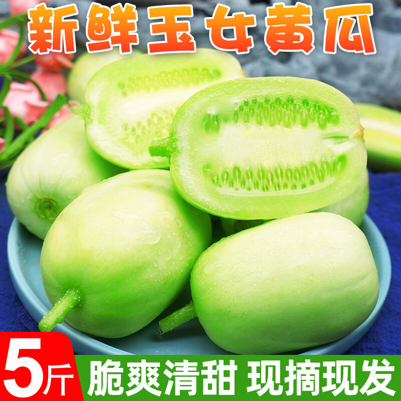 新鲜玉女黄瓜拇指小青瓜生吃水果蔬菜东北旱白玉 1斤