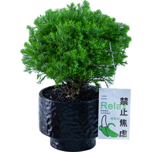 ���ڲ�����������ڡ��������ֲ�������ļ�������������Դͷֱ������ �̻������� 32.78Ԫ