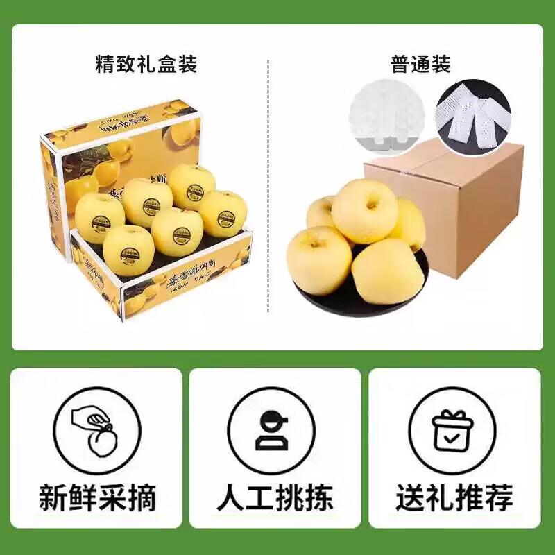 秦悦仙果鲜正宗山东黄金维纳斯苹果水果奶油新鲜整箱送礼品物盒圣诞节 净重4.5斤【单果160g+】丨很甜 【百里挑一】10年精选果