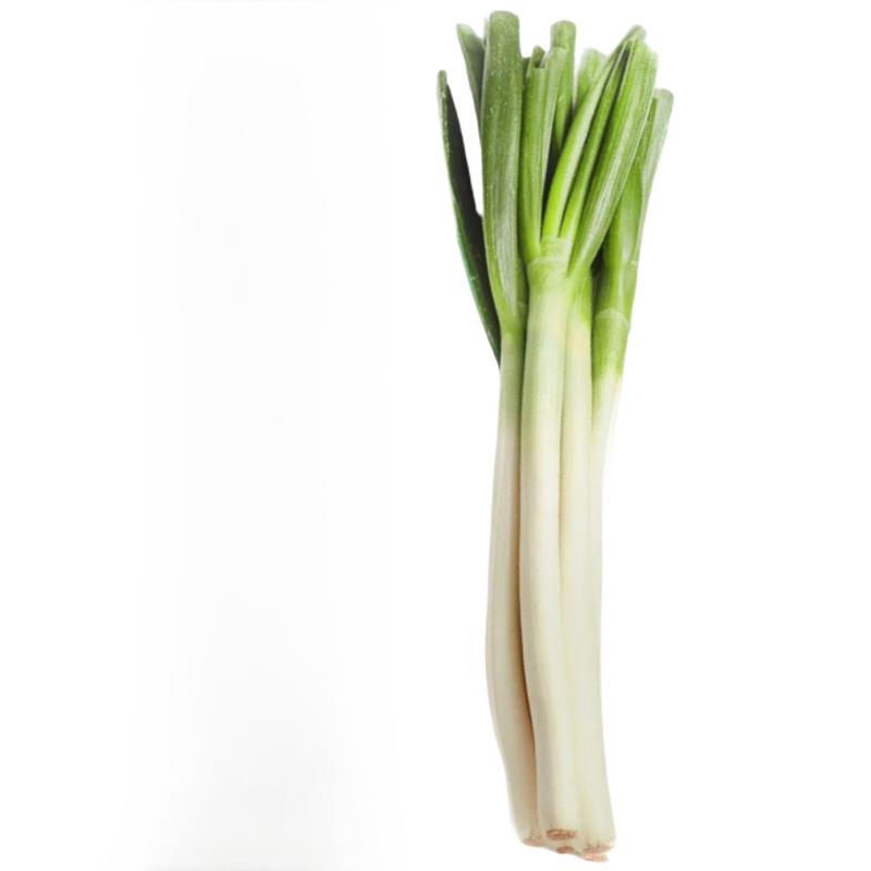 京鲜生正宗山东章丘大葱净重4.5斤礼盒 精品鲜叶蔬菜特产  源头直发包邮