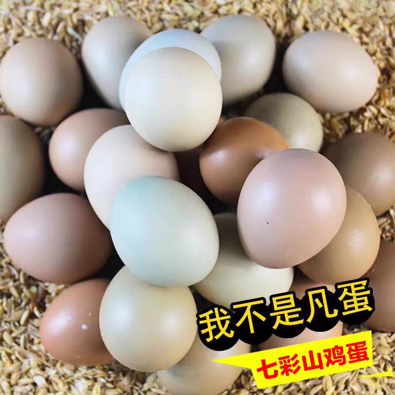 聚天然野山鸡蛋农家新鲜现捡山鸡蛋五谷喂养山鸡蛋七彩野山鸡鸡蛋 精品礼盒装山鸡蛋60枚