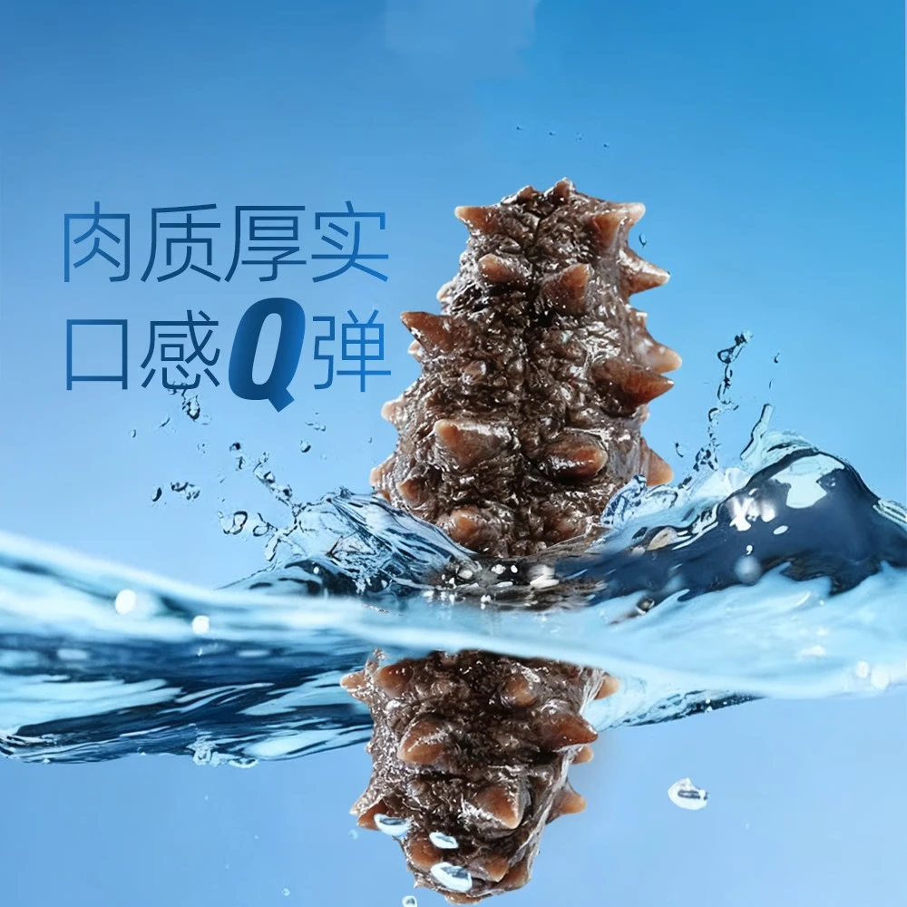 大宴岛大连有机冷冻海参2斤年货礼盒装即食独立包装官方旗舰店固形物80% 2斤装（20-24头）