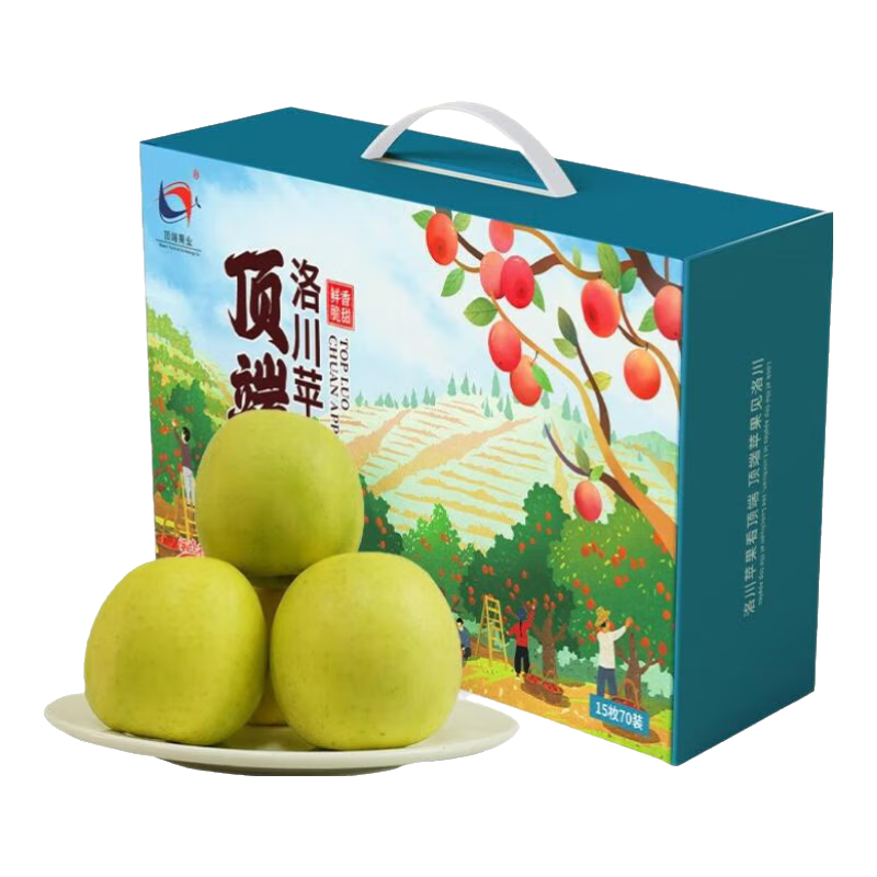 洛川苹果陕西延安25年新品种苹果水果礼盒水果生鲜送礼 瑞雪 15个70mm 礼盒装