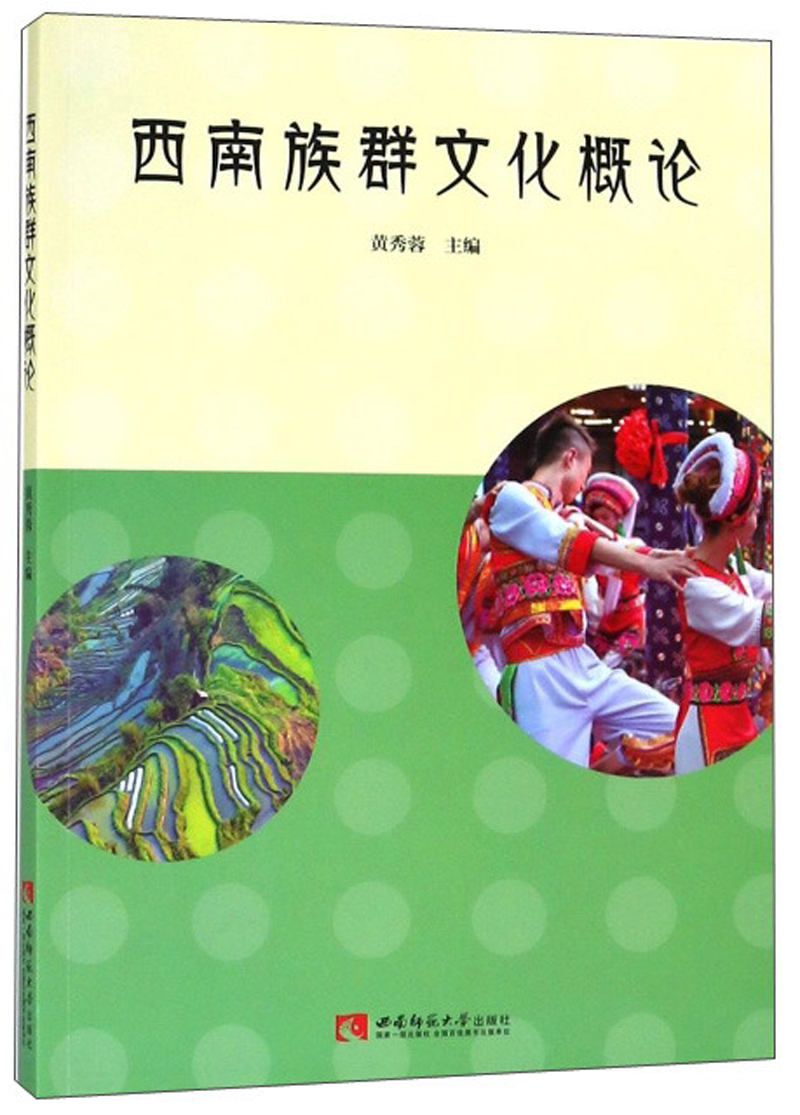 西南族群文化概论 书籍分类 文化 民族文化