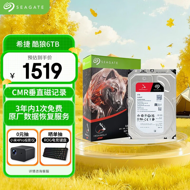 ϣ�ݣ�SEAGATE��NASӲ�� 6TB 256MB ��еӲ�� CMR��ֱ �����ͺ� ���ݻָ����� 3.5Ӣ�� ϣ�ݿ��� ST6000VN006