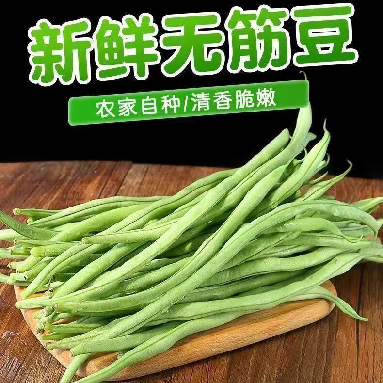新鲜筋豆无丝豆现摘龙须豆角蔬菜架豆农家批发 高山农产