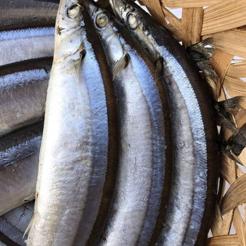 虎钢馋潮汕打冷野生秋刀鱼饭即食当天出炉500g拼四熟鱼