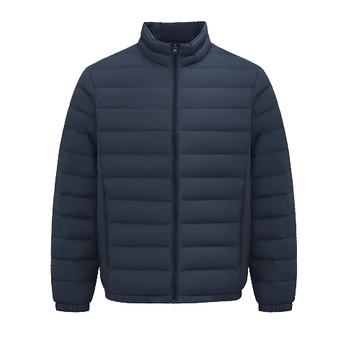 雪中飞秋冬新款男士立领轻薄羽绒服休闲短款鸭绒保暖羽绒服百搭