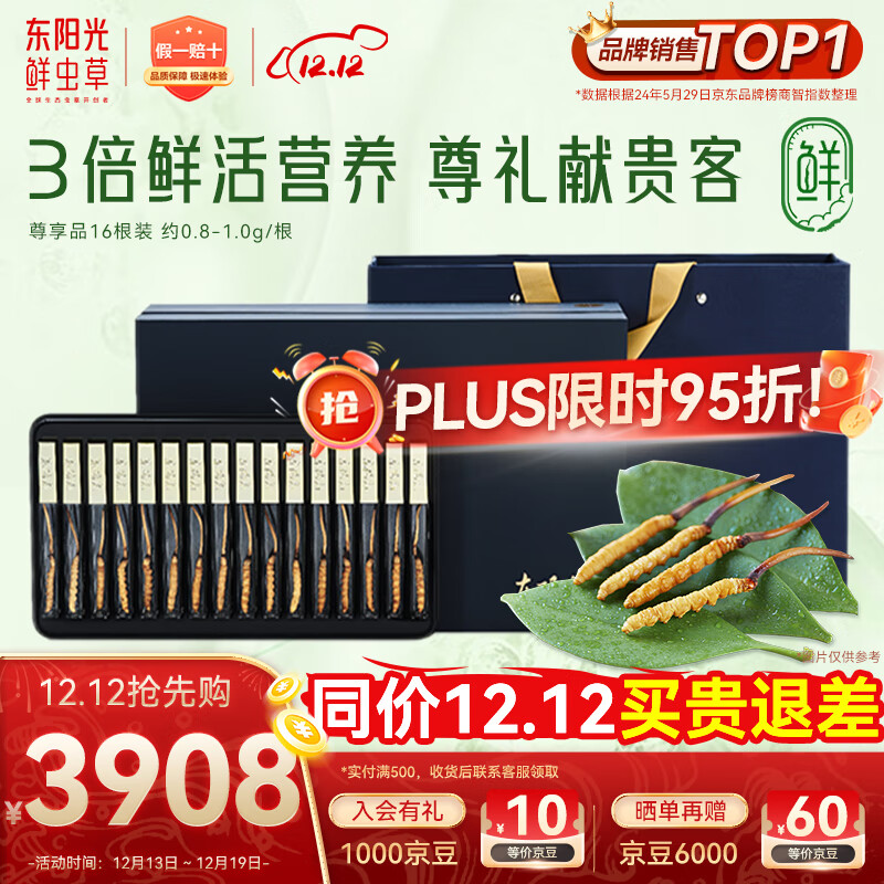 东阳光鲜虫草0.8-1g/根16根新鲜冬虫夏草补品送长辈老人源头直发包邮