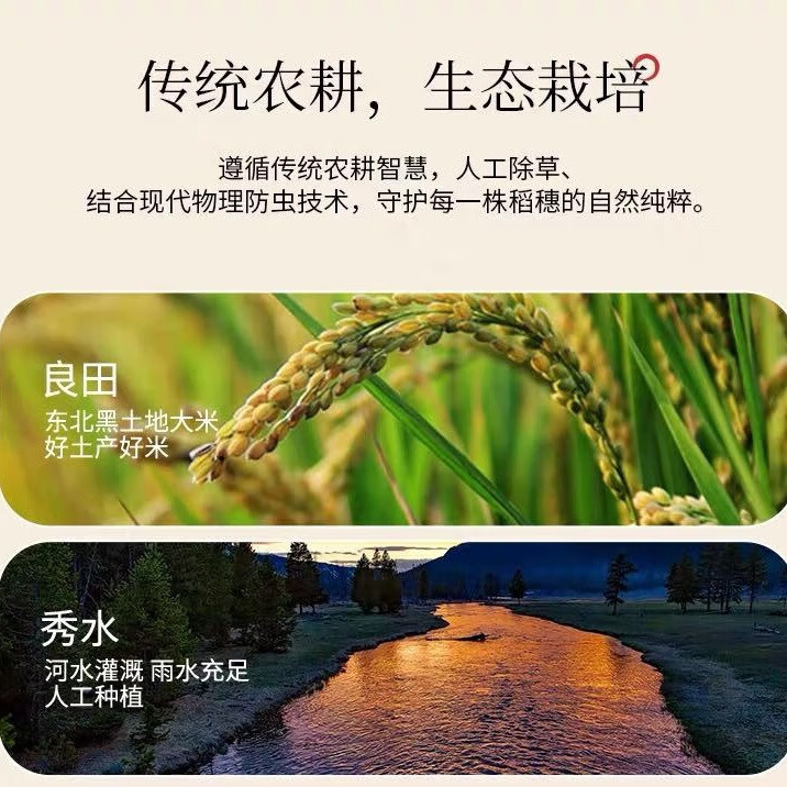 道台府2025年新米五常大米10斤黑龙江东北大米2.5kgGB/T 19266产地直发 正宗五常大米5kg*1袋