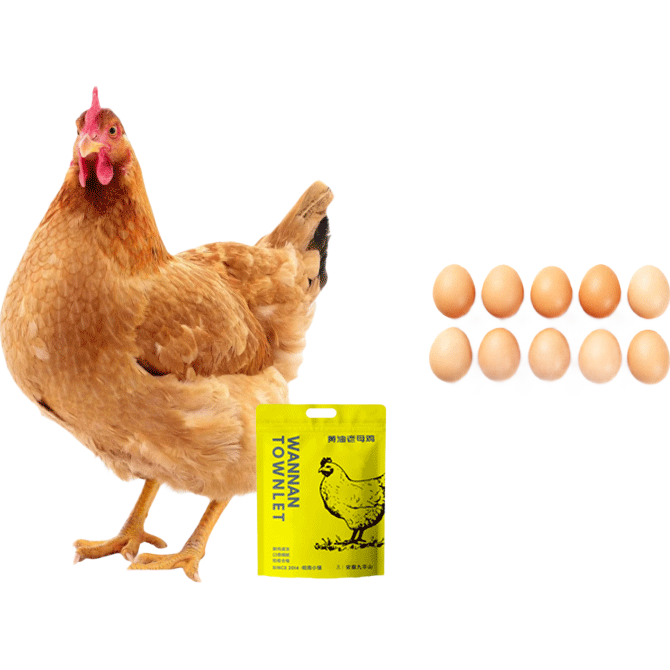 Żɽĸ ֻ2~2.3500 ͼ ֻ2~2.3+10ö 19.9Ԫ(ȯ)