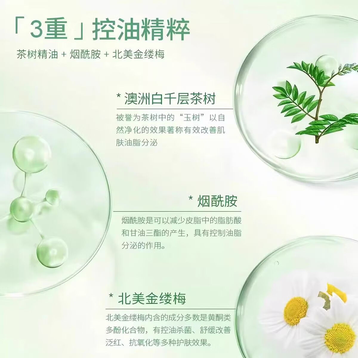 芷豆水乳茶树精华油皮痘肌修护控油收毛孔补水保湿青少年学生护肤套装 【控油套装】芷豆水乳套装100ml*2瓶