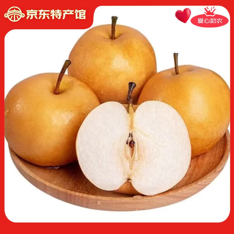 东鲜丰山东秋月梨冰糖梨脆甜当季新鲜梨子水果 净重4.5斤普箱【单果300g+】