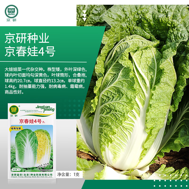 ���д�ײ���������Ҷ�ܲ˽ۺ��Ļ����޲��ﲥ�����ײ�ũ��Ժ�߲����� ������4�Ż��Ĵ����޲� 1��