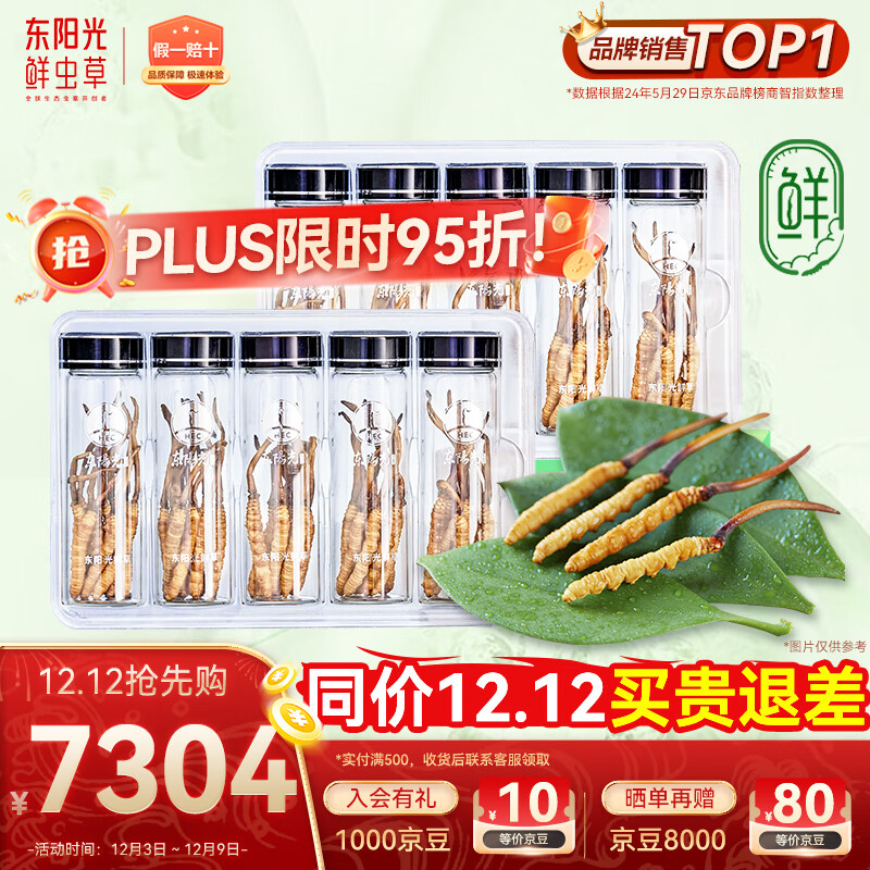 东阳光鲜虫草0.4-0.6g/根100根新鲜冬虫夏草补品送长辈老人源头直发包邮