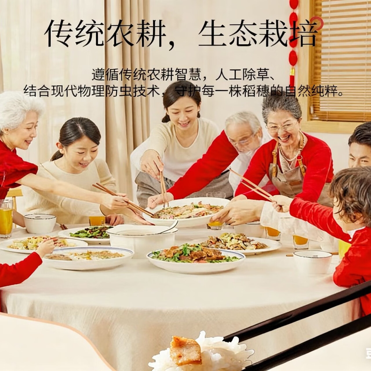 道台府2025年新米五常大米10斤黑龙江东北大米2.5kgGB/T 19266产地直发 正宗五常大米5kg*1袋