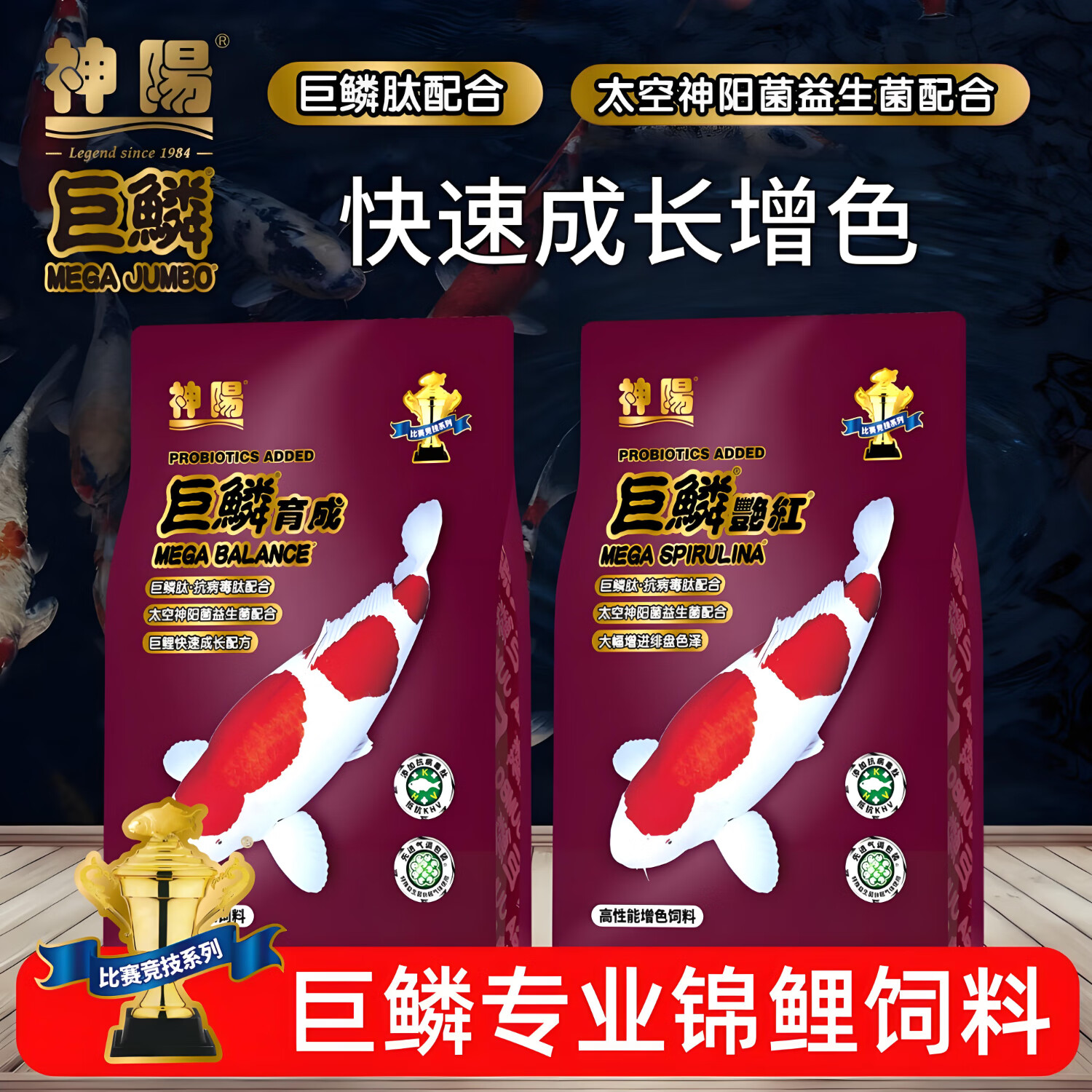 神阳巨鳞锦鲤鱼饲料高蛋白增色增体专用鱼粮赛级营养鱼食搭配套餐 育成1kg+艳红1kg M粒（快速成长增色）