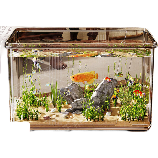 С׿2025¿̬׽ڹ÷²С кPius10K͸/ò/ˤ顿 10.7Ԫ