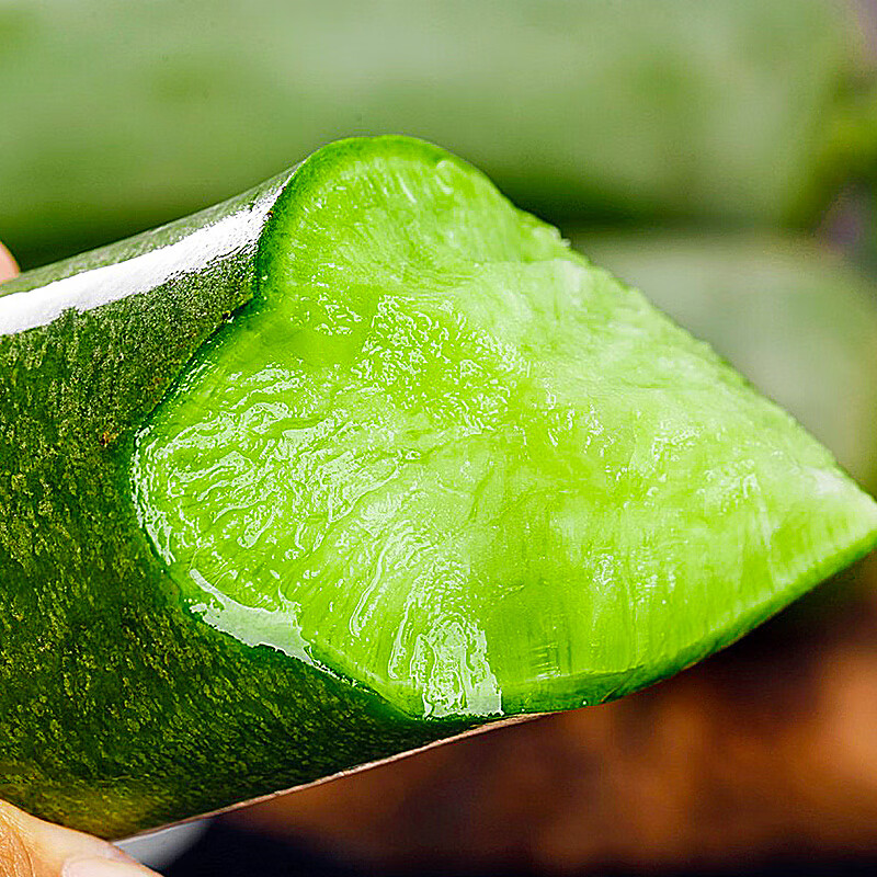 正宗天津沙窝萝卜甜脆水果型新鲜青萝卜冰淇淋萝卜根茎类蔬菜生吃 产地现拔【天星二号】普通礼盒装5斤