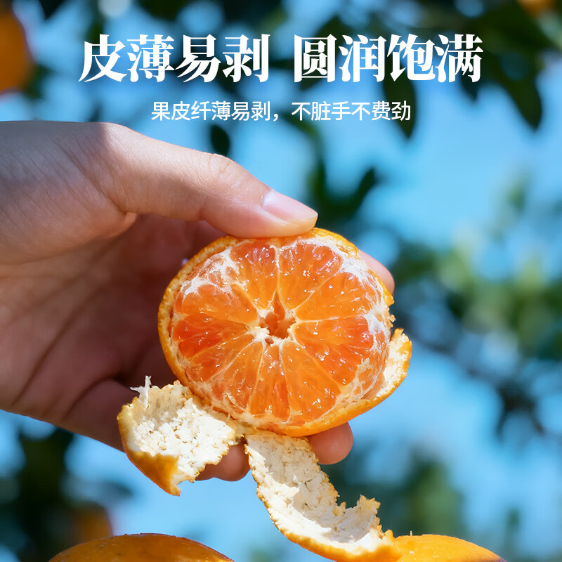 新余蜜桔分享送礼 新鲜蜜橘 橘子桔子水果酸甜多汁 生鲜蜜桔 果园顺丰直发 5斤装(净重4.5斤)【80%选择】 50-60mm大果