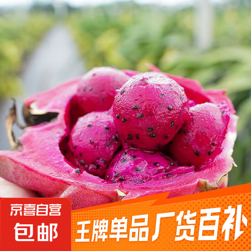 海南红心火龙果金都一号装，6.99元抢限量版10粒小果