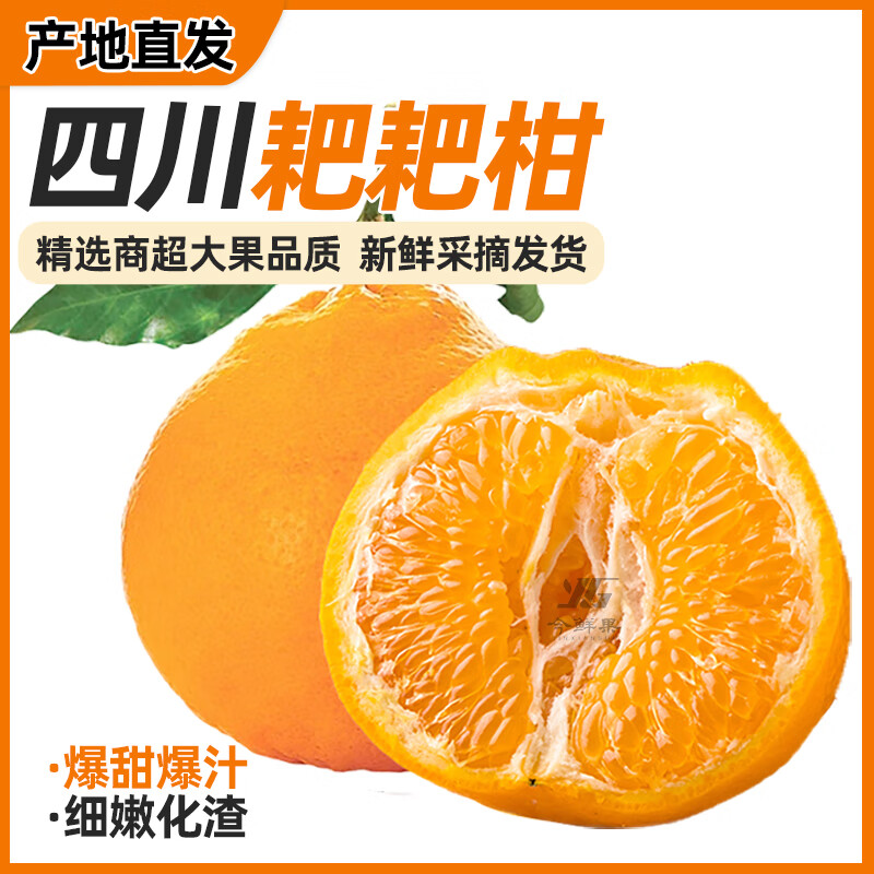 今鲜果四川春见耙耙柑新鲜水果应季柑橘子桔子粑粑柑孕妇水果 统货直发(普通快递) 真·耙耙柑净重8斤/单果80mm+