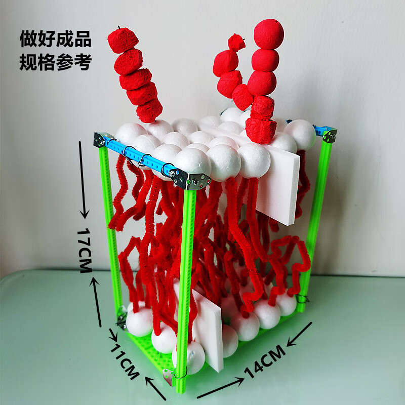 burjuman细胞模型制作材料包高中生物细胞膜材料包磷脂双分子流动早教