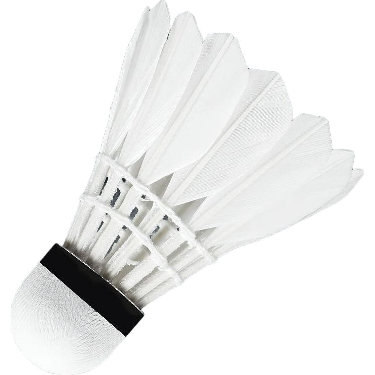 ëƷȻѼë12ֻװʹëѵ6ֻ ճѵޱ-̨ 1Ͳ 6ֻװ