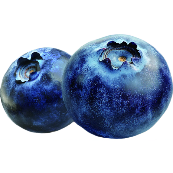  ݮ 22mm+ 2װ ˮ Դͷֱ  39.9Ԫ(ȯ)