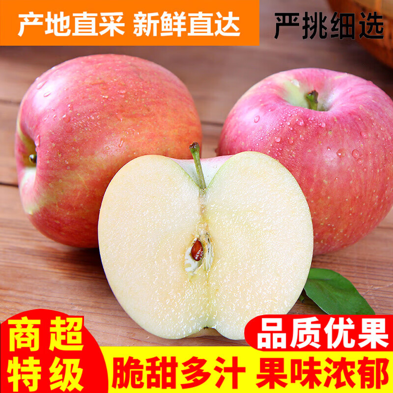 玖原农珍甘肃静宁富士苹果当季现摘源头直发中秋礼品水果 5斤净重4.5斤优选果70-80mm