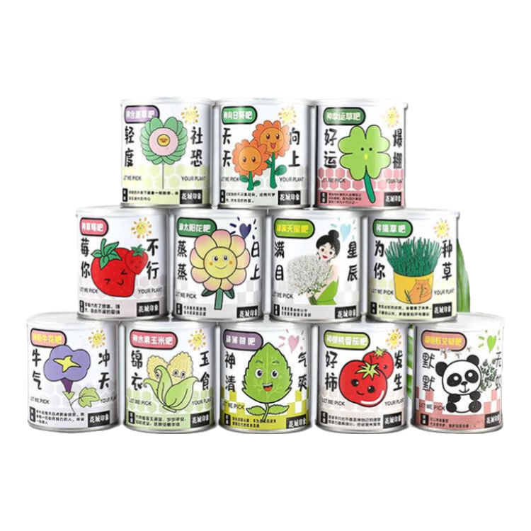 ף��������������ֲ��װ���촴������칫����ͯDIY�۲���ֲ���� ݮ�㲻��-��ݮ��װ 4.72Ԫ