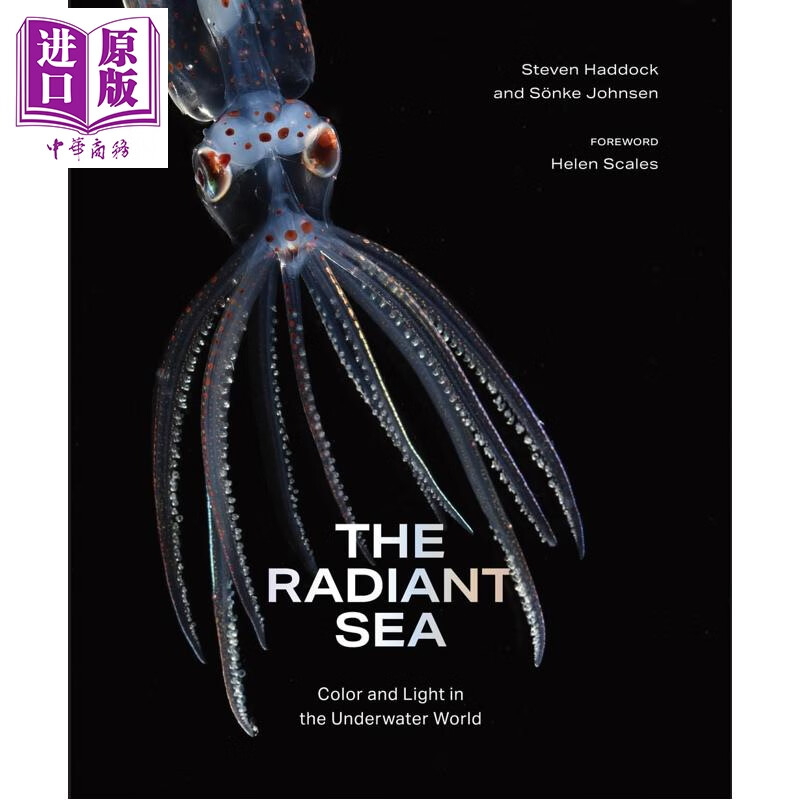 璀璨的海洋 海底世界的色彩与光芒 海洋生物 The Radiant Sea 英文原版 Steven Haddock