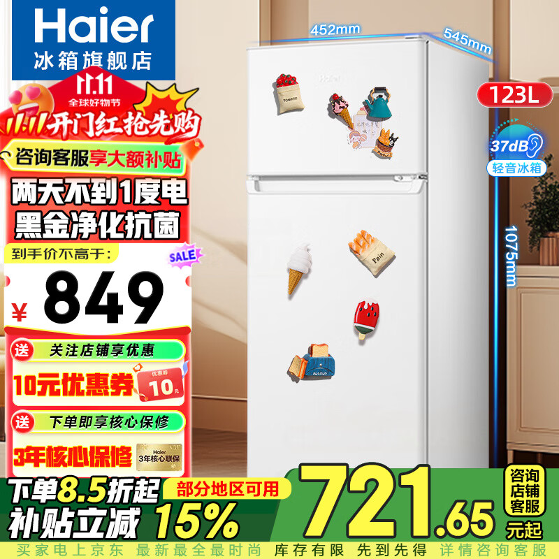 海尔（Haier）冰箱123升小型双门冰箱家用两门迷你办公室宿舍节能冷藏冷冻电冰箱 123升直冷微霜+黑金净化+冷藏冷冻