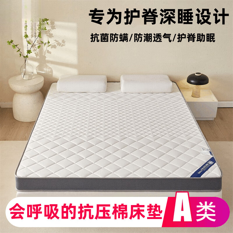 迈途森加厚床垫家用褥子可折叠用学生宿舍单双人床褥子打地铺地垫 大小格白-约5cm【自主研发/护脊助眠】 60*100cm【国标 】