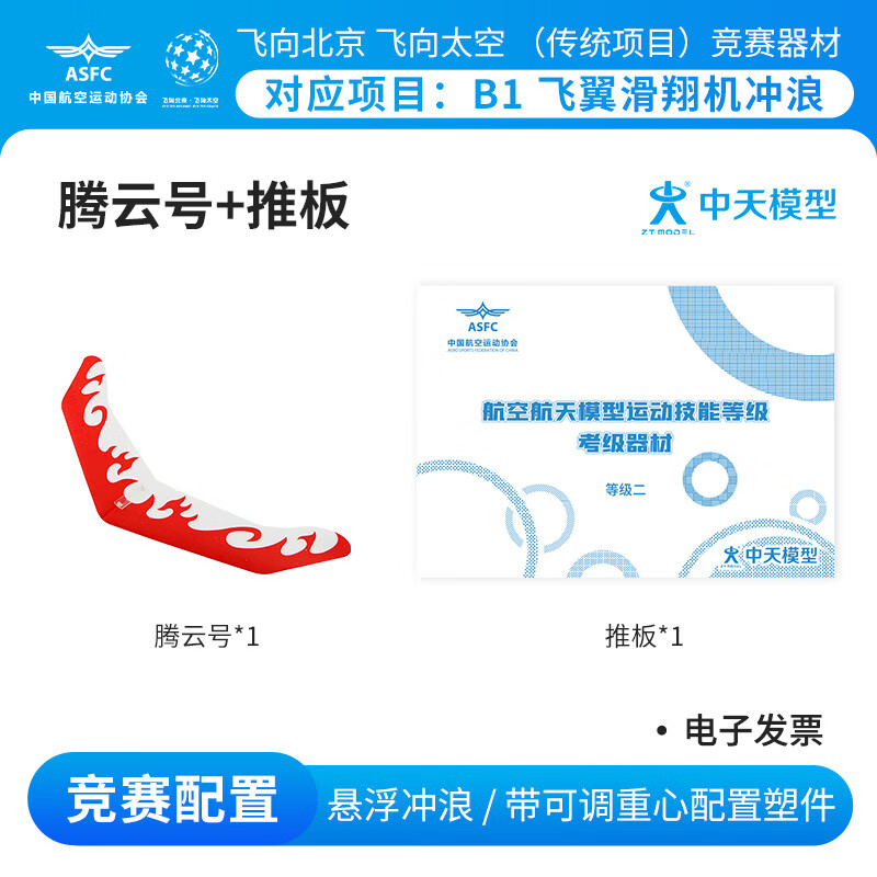 ZT MODEL中天模型 纸飞机比赛腾云号飞翼滑翔机 泡沫飞机手抛儿童户外玩具 腾云号+推板